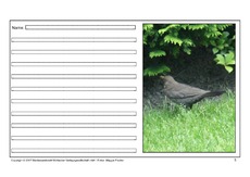 Amsel-eigene-Texte-5.pdf